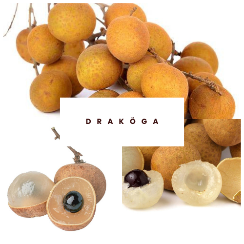 Draköga/Longan