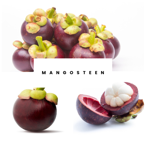 Mangosteen