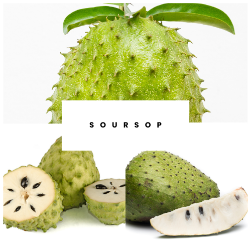 Soursop